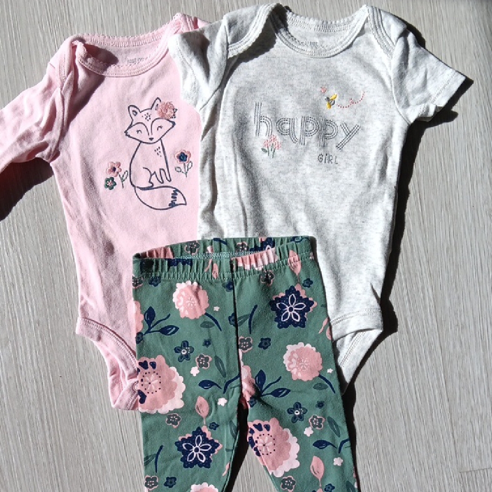 Baby Girl Outfit Set - Pink and Gray Onesies with Green Floral Pants